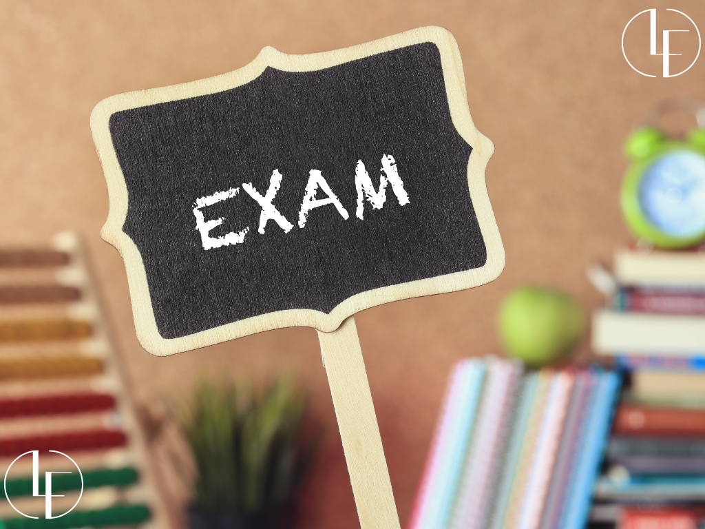 Focused study session for French exam preparation, featuring practice materials and strategic guidance.